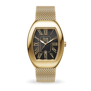 ICE boliday - Dome - Metal mesh - Black GD - S - 3H+D-Montres femme-Marque:Référence: 024486-ICE WATCH- -DIAM'S NC